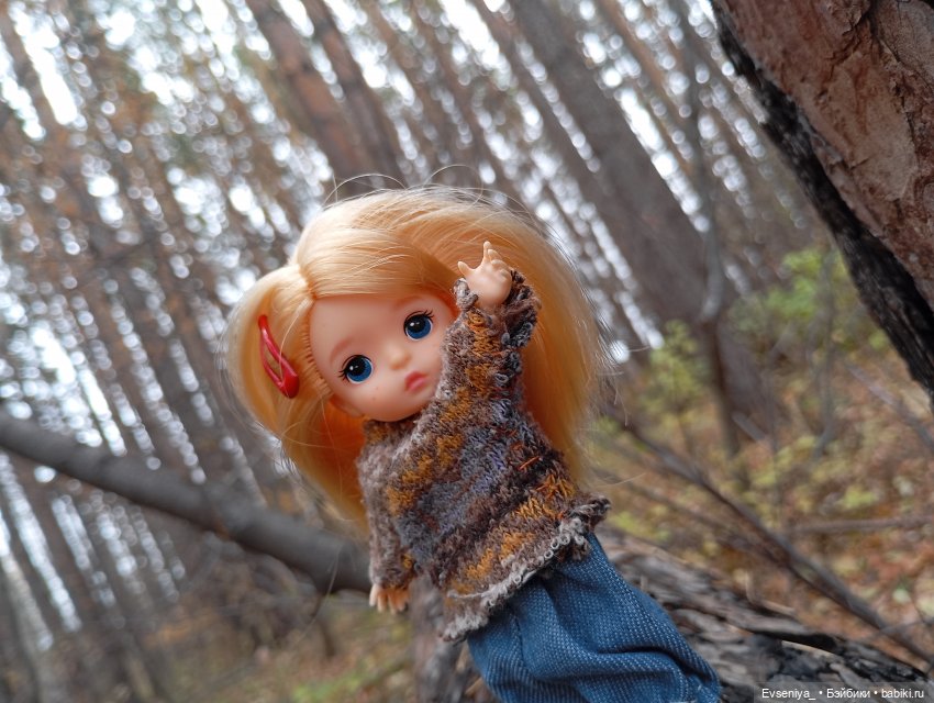 Тихая осень — Игровые куклы разных производителей (Разное): редкие бренды