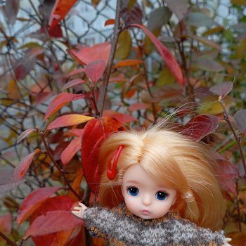 Тихая осень