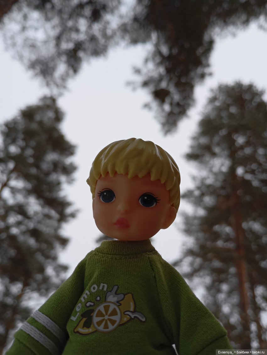 Гулёны — Разные шарнирные куклы (не БЖД): редкие