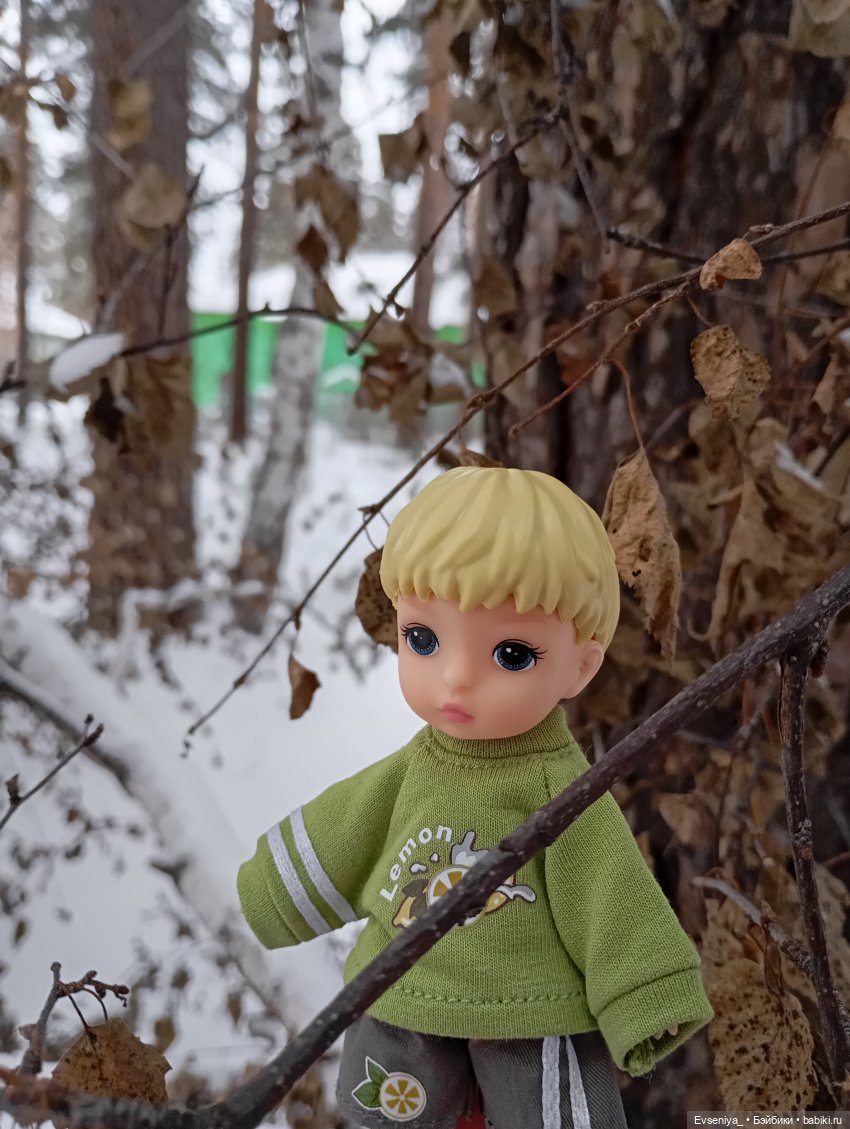 Гулёны — Разные шарнирные куклы (не БЖД): редкие