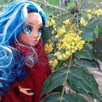 Дневник Мальвины Винни Сочи Блюз (Malvina Winni Sochi Blues). Первая фотосессия