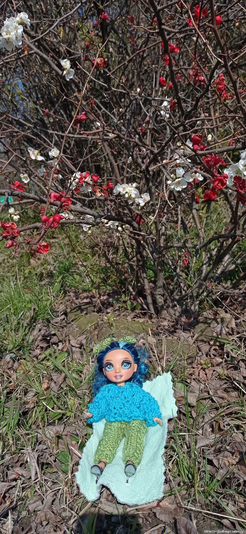 Дневник Мальвины Винни Сочи Блюз (Malvina Winni Sochi Blues). Дендрарий | Бэйбики Дневник Мальвины Винни Сочи Блюз (Malvina Winni Sochi Blues). Дендрарий (фото 2)