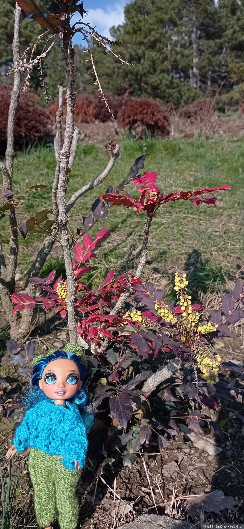 Дневник Мальвины Винни Сочи Блюз (Malvina Winni Sochi Blues). Дендрарий | Бэйбики Дневник Мальвины Винни Сочи Блюз (Malvina Winni Sochi Blues). Дендрарий (фото 3)