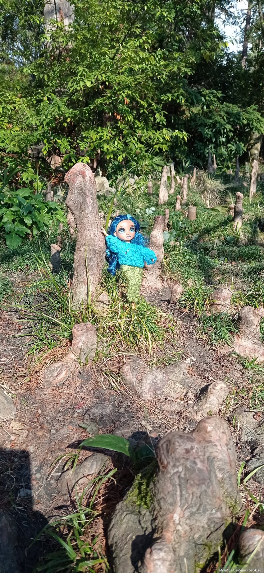 кукла Рэйнбоу Хай, Сочинский дендрарий, воздушные корни болотного кипариса кукла Рэйнбоу Хай, Сочинский дендрарий, воздушные корни болотного кипариса