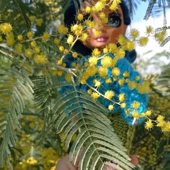 Дневник Мальвины Винни Сочи Блюз (Malvina Winni Sochi Blues). Дендрарий