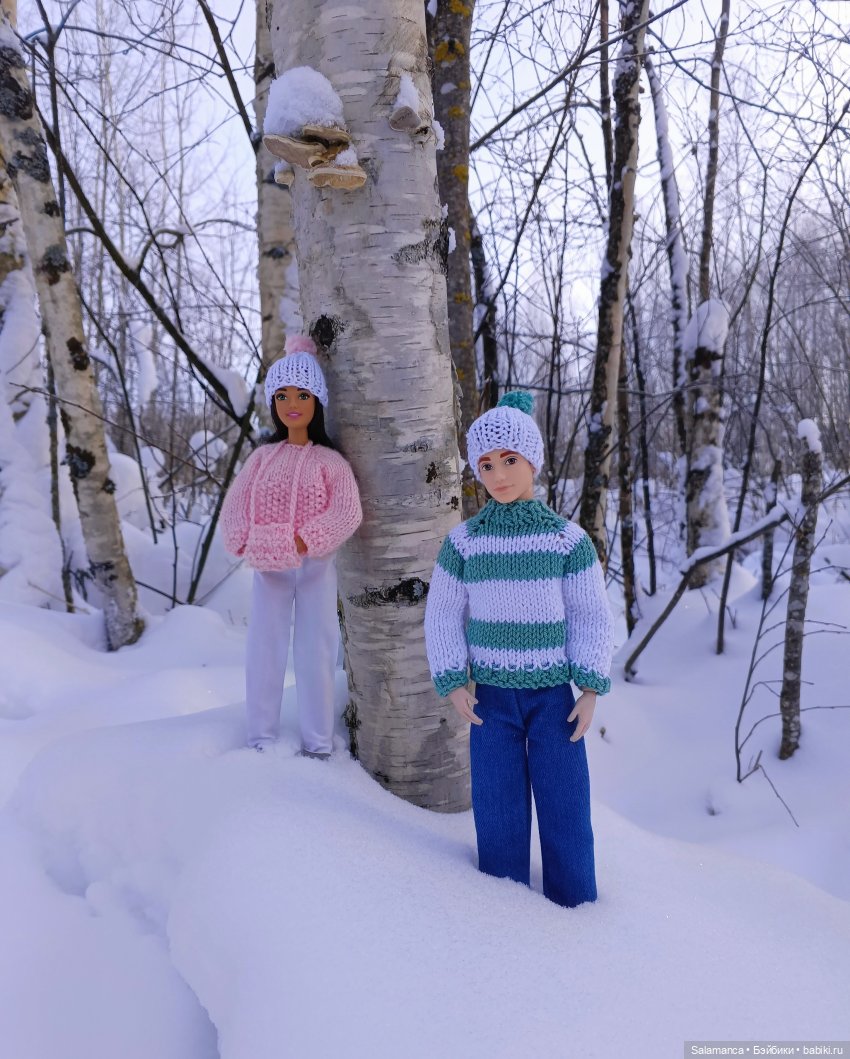 Сугробы — Куклы Barbie (Барби): Looks