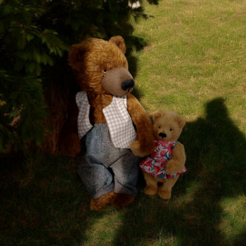 Прогулки по-косолаповски