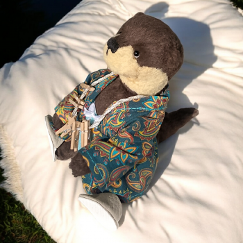 Севастопольская выдра🦦