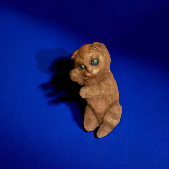 Безымянный котик желает познакомиться ☺️