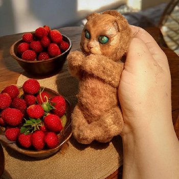 Бюро косолапых находок🐻