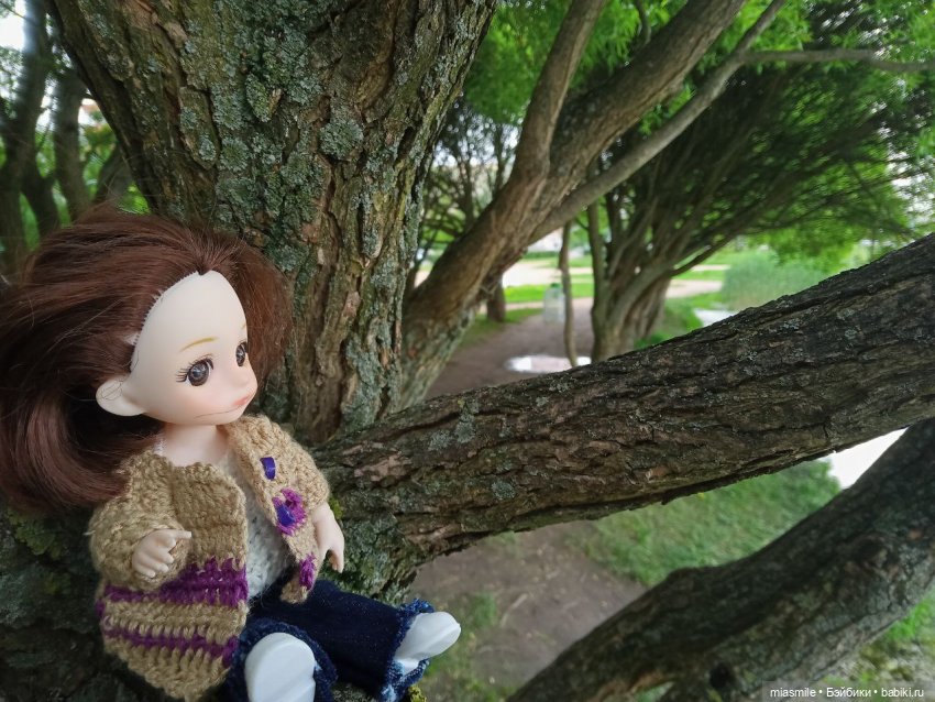 Баболи среди ветвей дерева