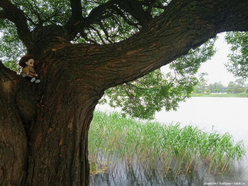 Найди маленькую куклу на фото