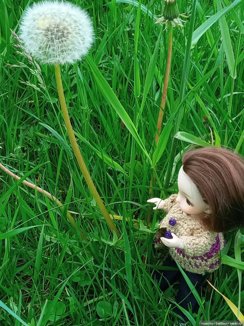 Маленькая кукла баболи и одуванчик