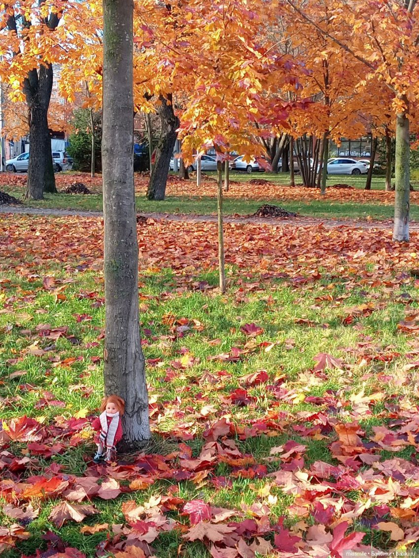 Лужайка с кленами