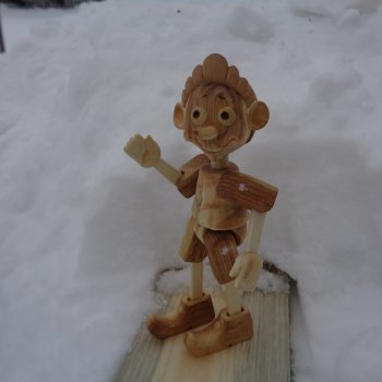 Можжевеловый Буратино и белоснежные ивовые зубки.