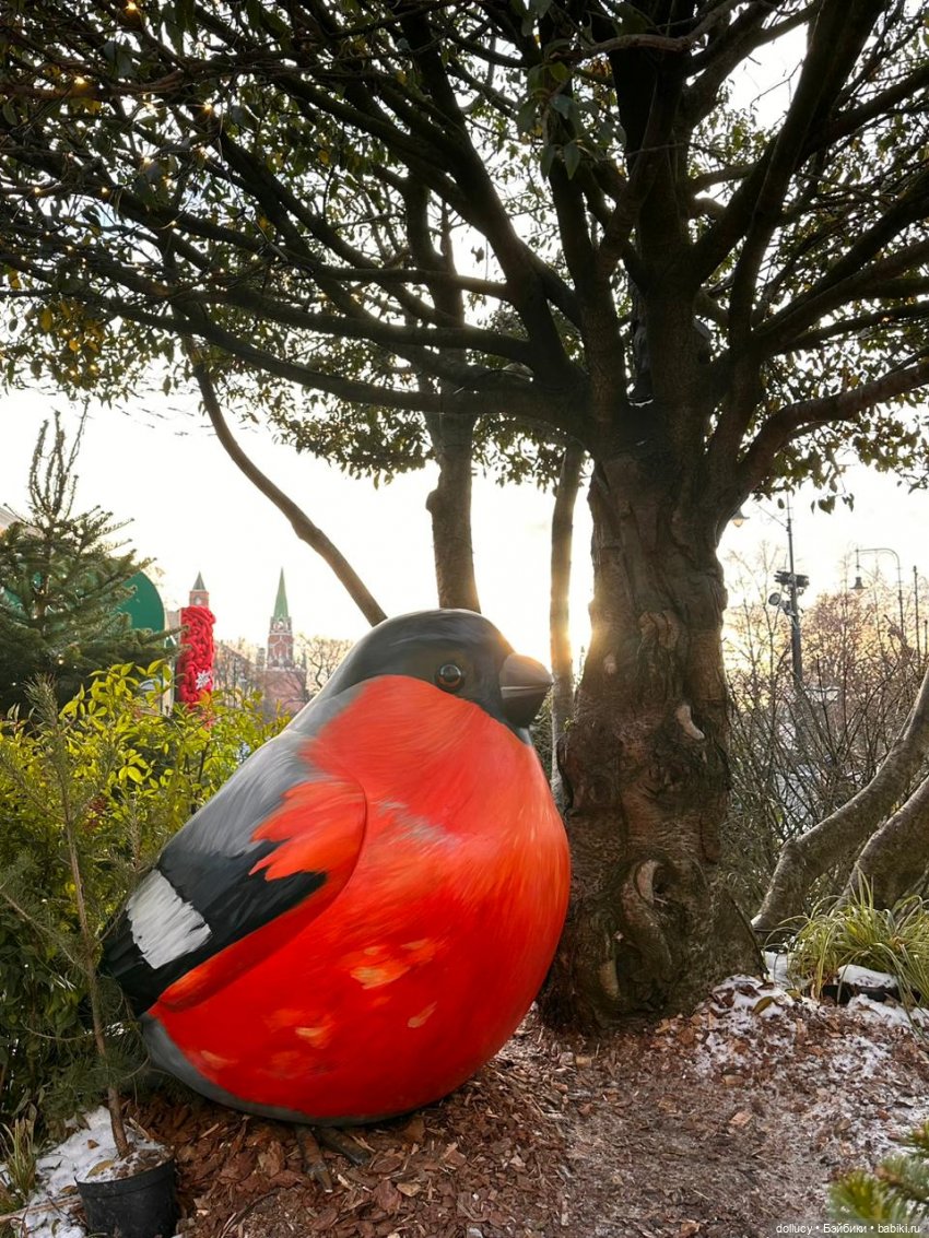 Новогодняя Москва — Туризм и путешествия: фотоотчеты из поездок (фото 4)