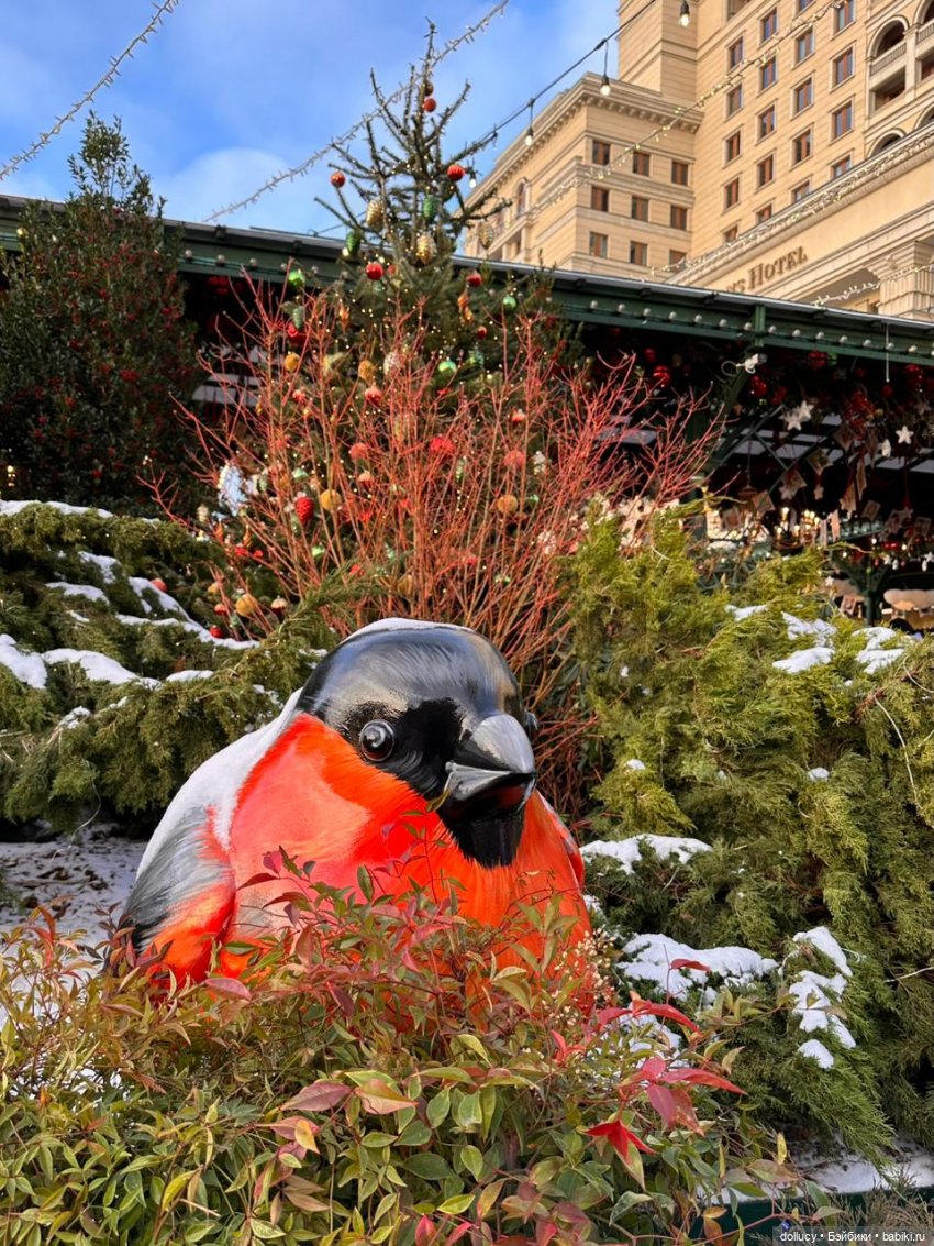 Новогодняя Москва — Туризм и путешествия: фотоотчеты из поездок