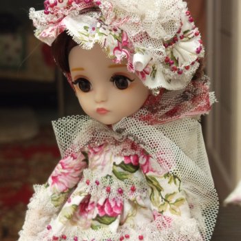 Все наряды Рады