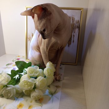 И меня тоже