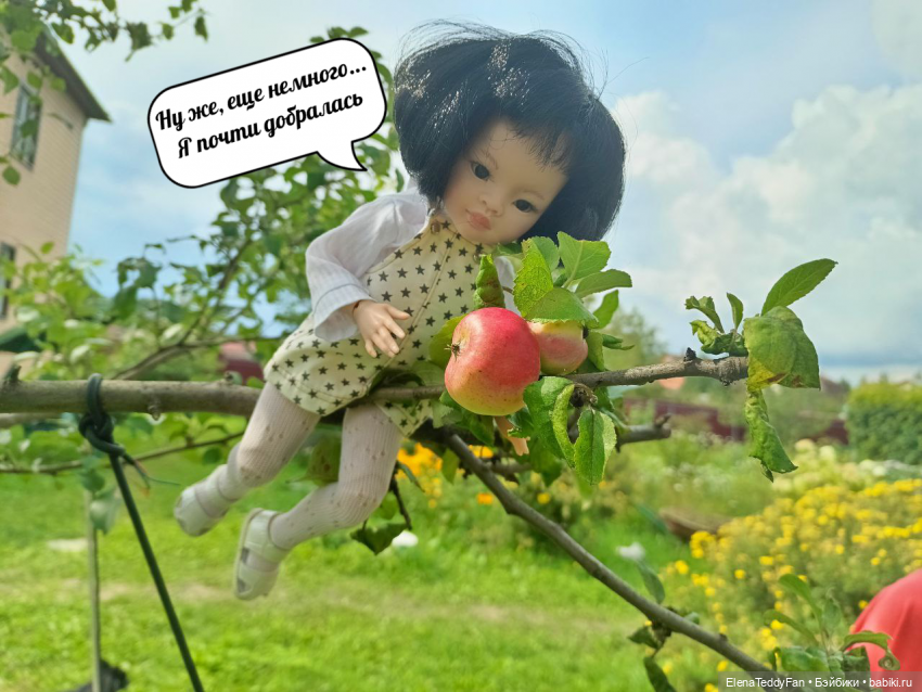 Приключения Лиу и Луиса на даче | Бэйбики Приключения Лиу и Луиса на даче