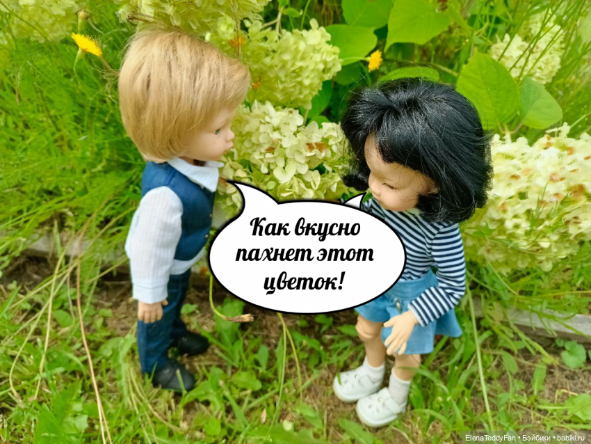 Приключения Лиу и Луиса на даче | Бэйбики Приключения Лиу и Луиса на даче (фото 7)