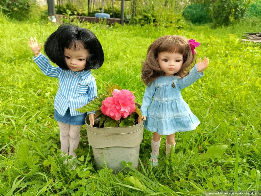 Приключения Лиу и Луиса на даче | Бэйбики Приключения Лиу и Луиса на даче