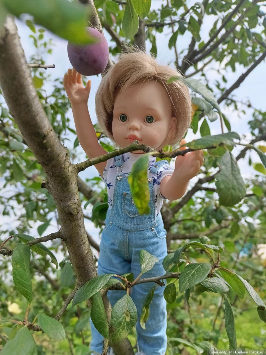 Приключения Лиу и Луиса на даче | Бэйбики Приключения Лиу и Луиса на даче