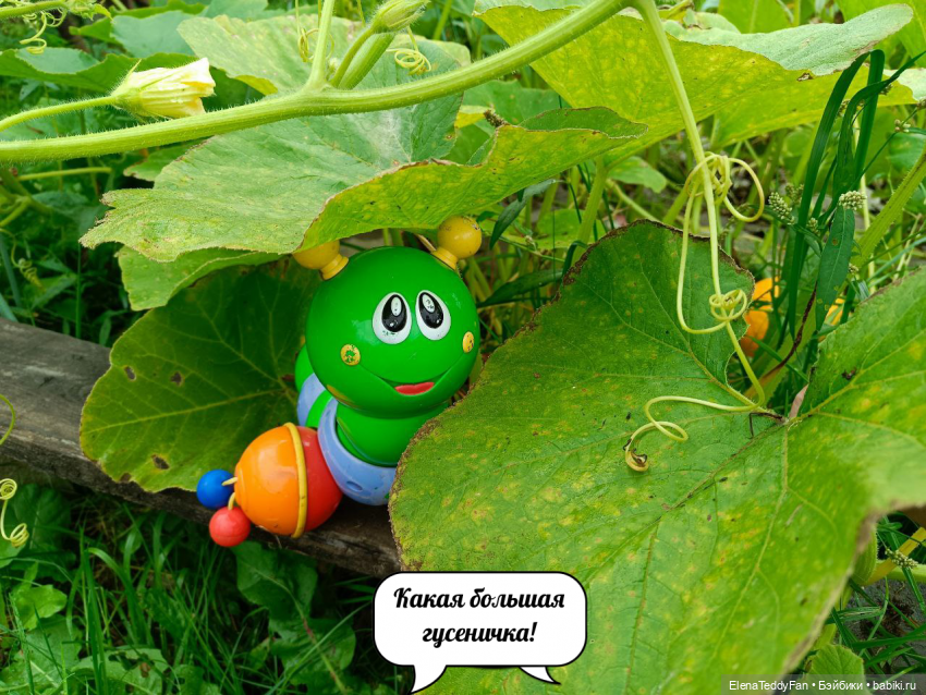 Приключения Лиу и Луиса на даче | Бэйбики Приключения Лиу и Луиса на даче