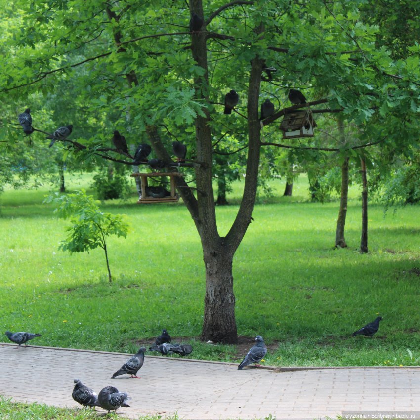 Эля на первой прогулке — Российские куклы Весна (фото 6)