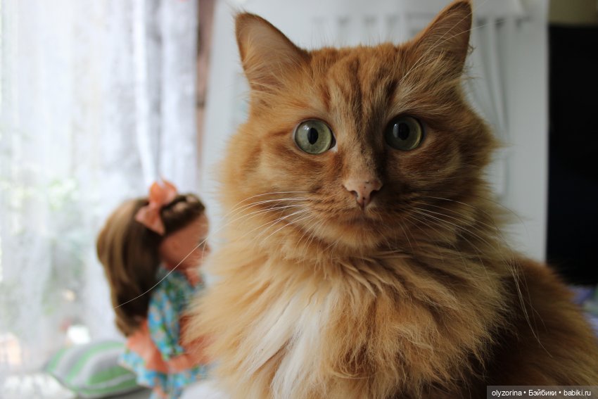 Секретики старшей сестры — Российские куклы Весна