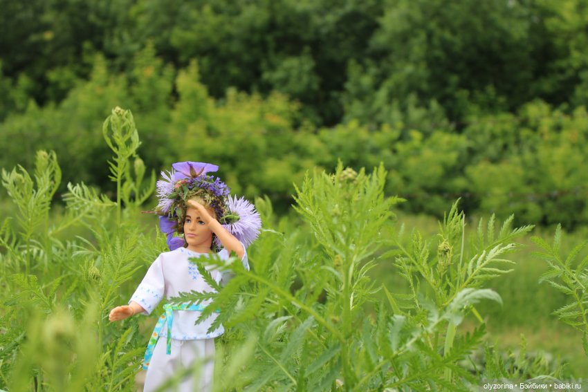 Ивана Купала — Аналоги Барби и куклы 1/6: клоны 90 (фото 8)