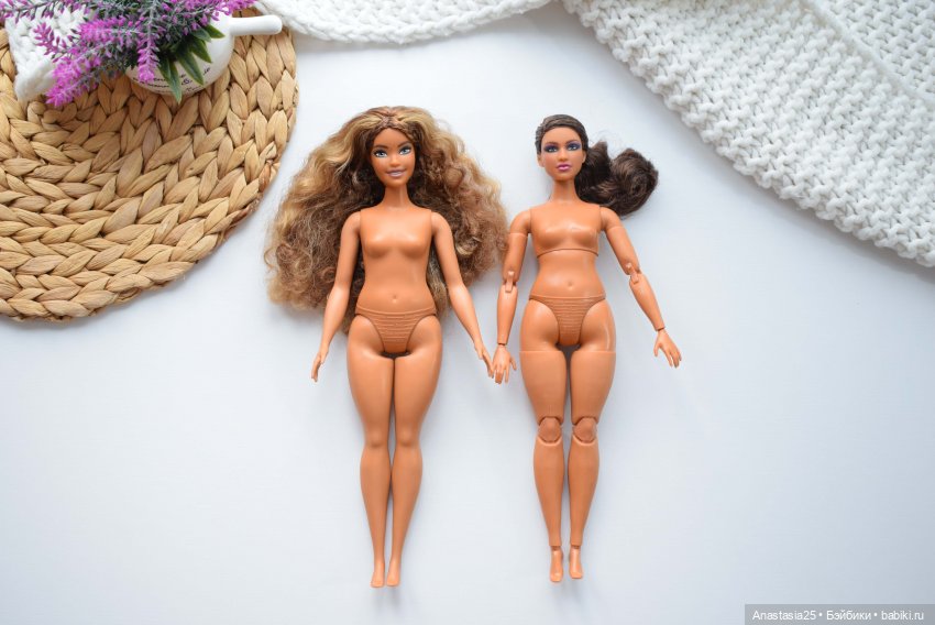 тела Барби Fashionistas 85 и Barbie Looks 12