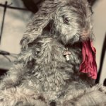 Кролик  Дикий