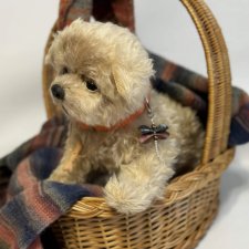 Скелетная игрушка Щенок   мальтипу