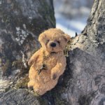 Орешек. Мишка  Тедди