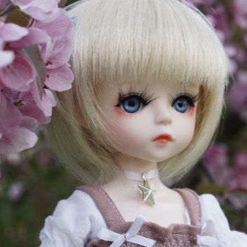 А сады цветут...