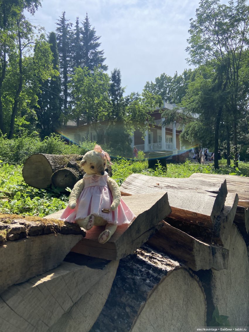 Мишка Мышка — Авторские мишки Тедди и друзья: фото (фото 9)