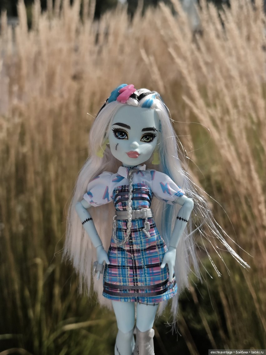 Урвала, теперь моё — Куклы Monster High (Монстер Хай)