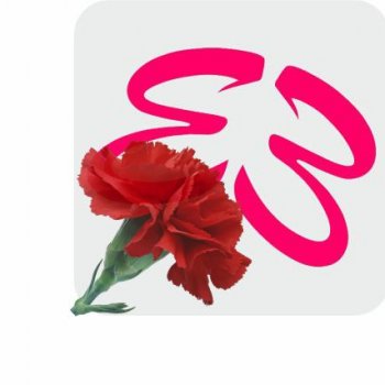 С праздником, дорогие товарищи!