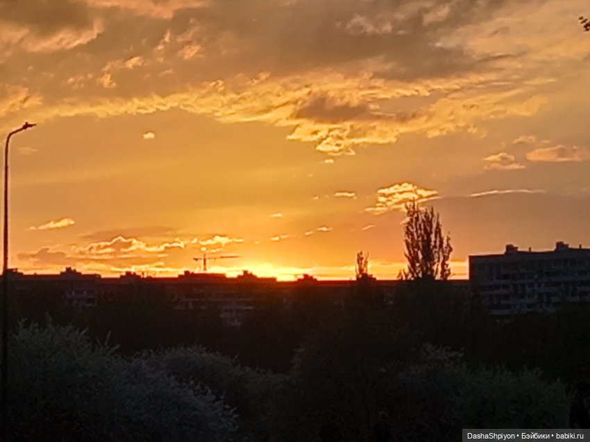 🫑🥒Огород — часть 1 🌱 — Куклы Barbie (Барби): Looks (фото 8)