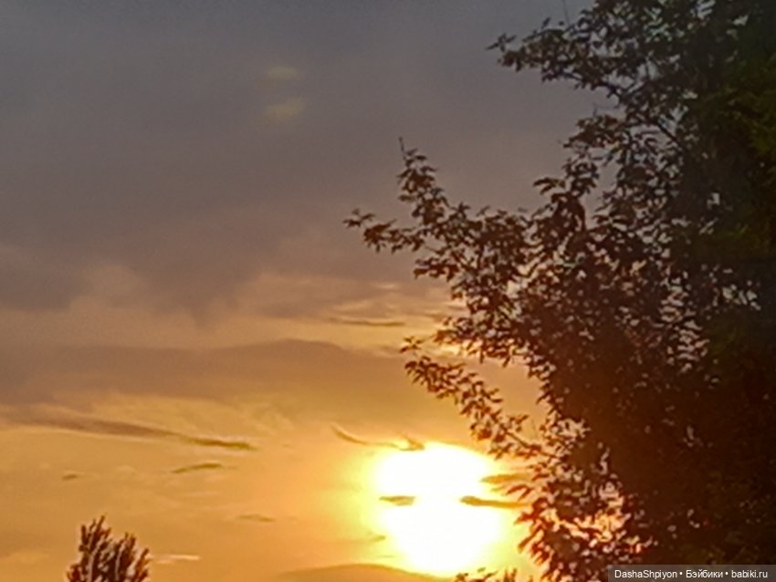 🌱🥦 Огород — часть 2 🌿🌾 — Куклы Barbie (Барби): Looks (фото 4)