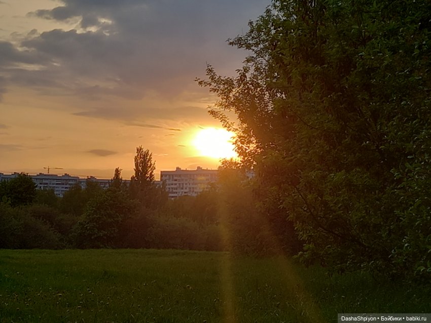 🌱🥦 Огород — часть 2 🌿🌾 — Куклы Barbie (Барби): Looks (фото 5)