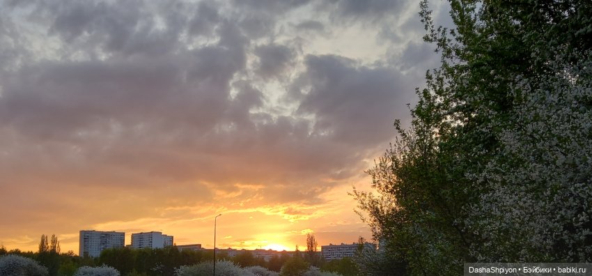 🫑🥒Огород — часть 1 🌱 — Куклы Barbie (Барби): Looks