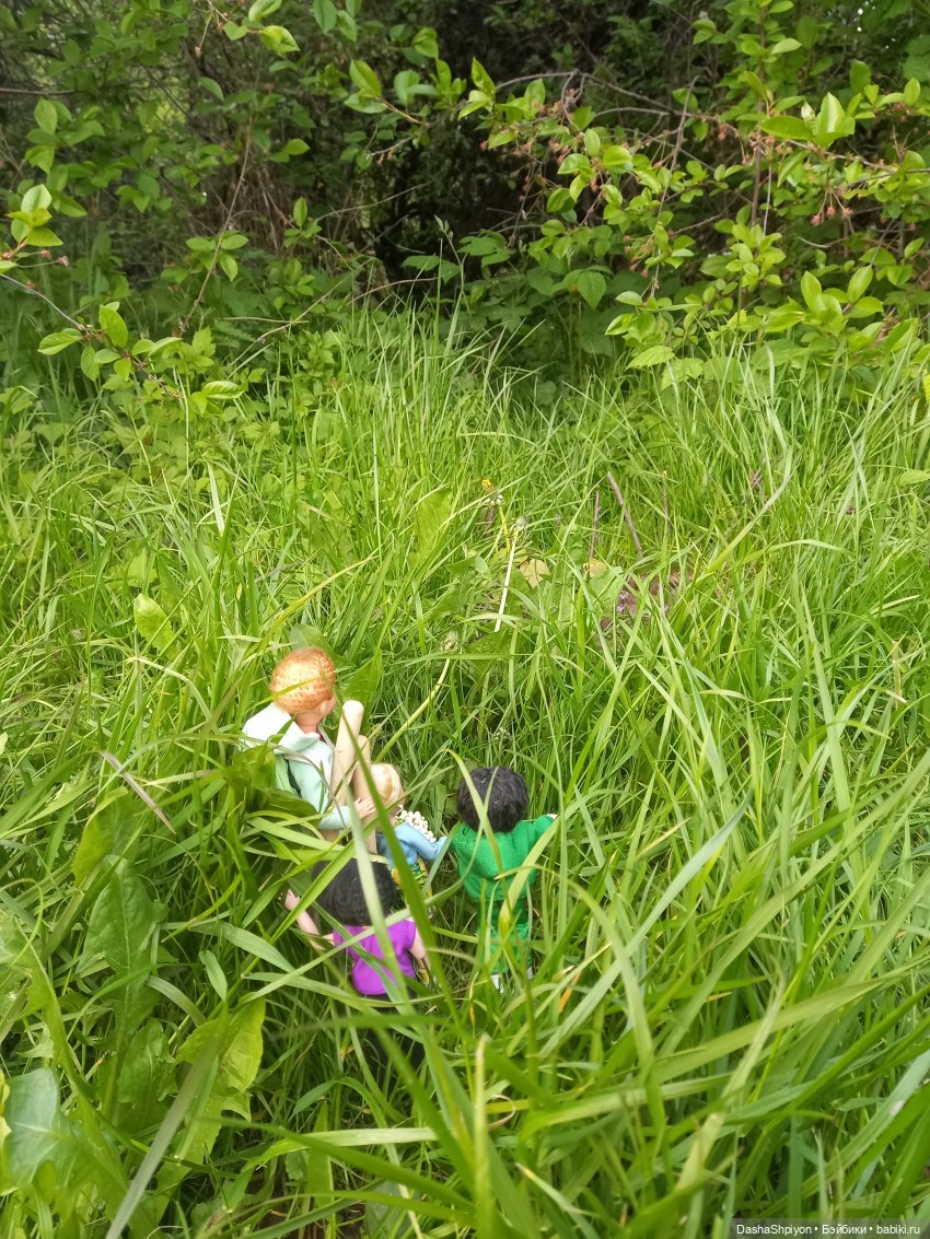 🌱🥦 Огород — часть 2 🌿🌾 — Куклы Barbie (Барби): Looks