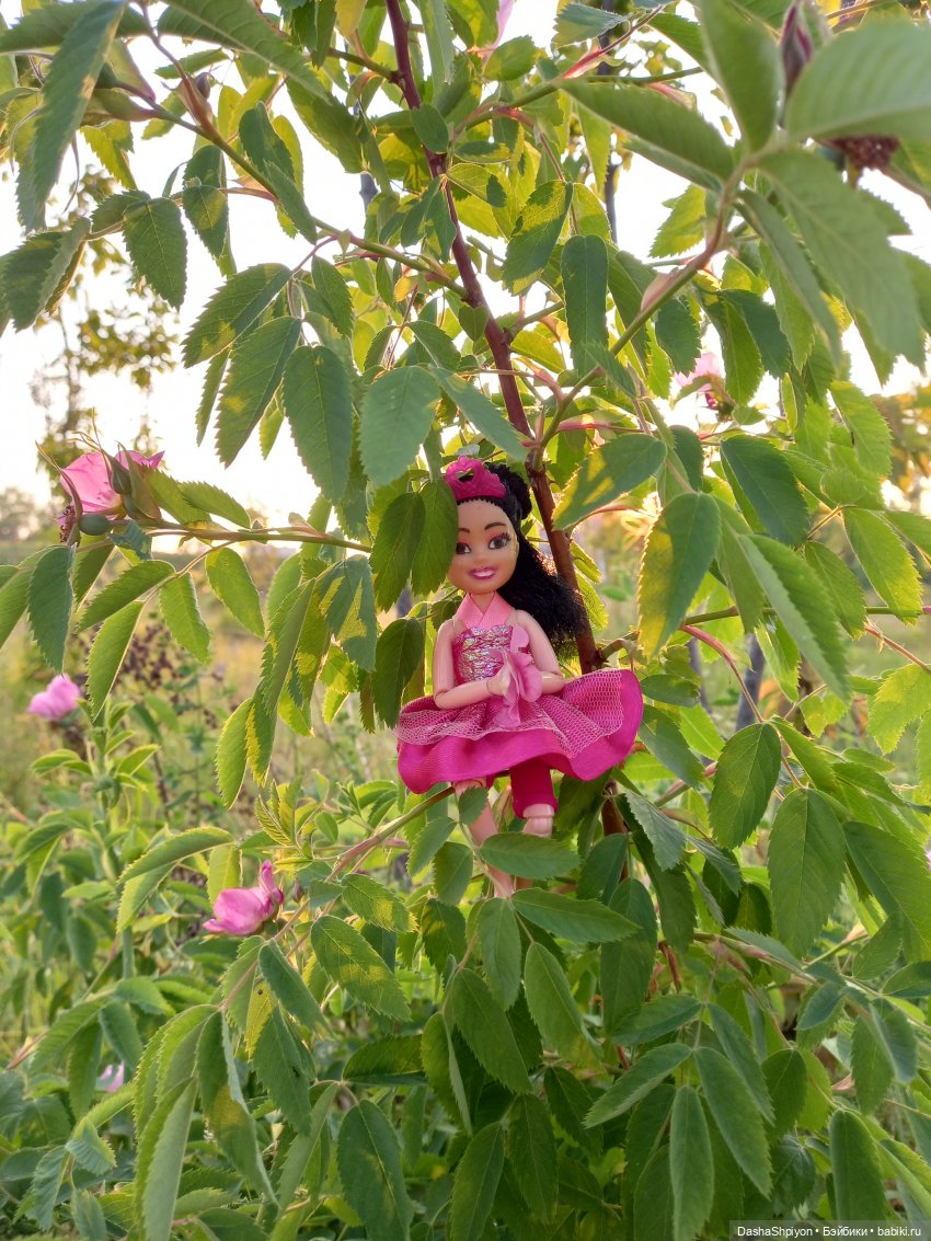 Прогулка в Долине реки Чертановки 🌺🌿🪨