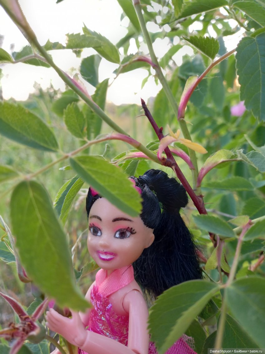 Прогулка в Долине реки Чертановки 🌺🌿🪨