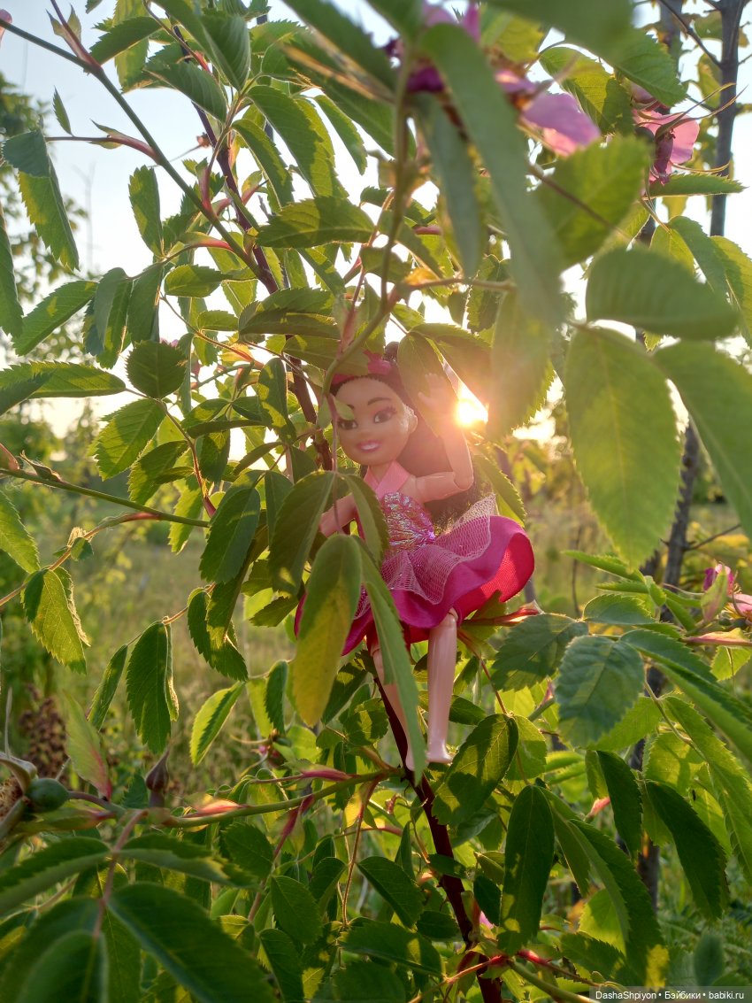 Прогулка в Долине реки Чертановки 🌺🌿🪨 (фото 7)