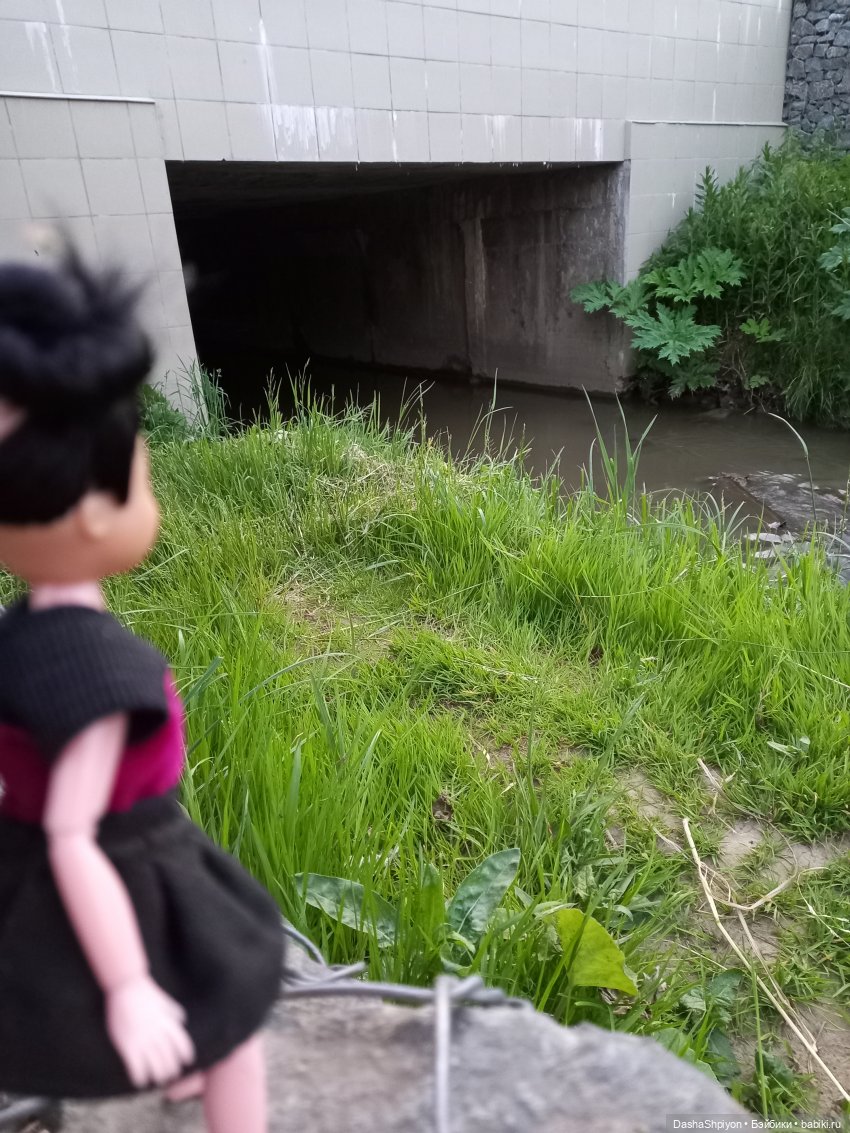 Прогулка в Долине реки Чертановки 🌺🌿🪨