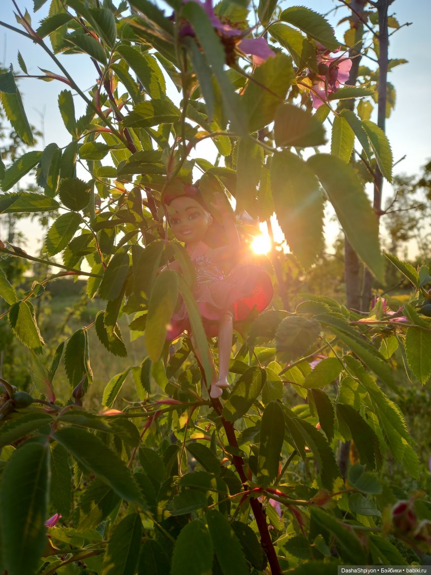 Прогулка в Долине реки Чертановки 🌺🌿🪨 (фото 8)