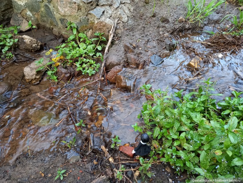 Прогулка возле набережной ☀️⭐🌿